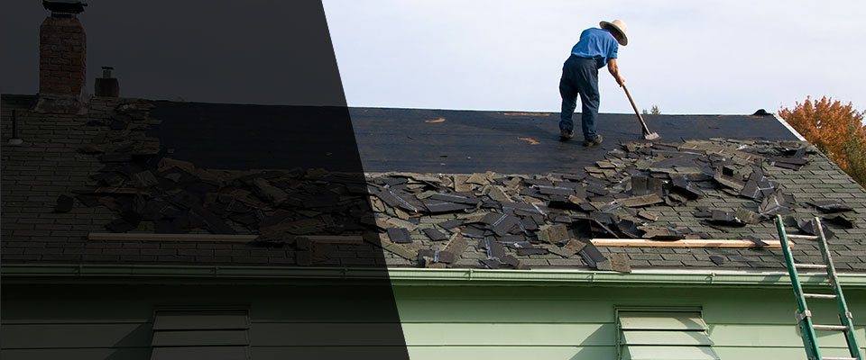 Nelson Roofing Contractors